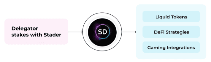 tien-ich-token-SD