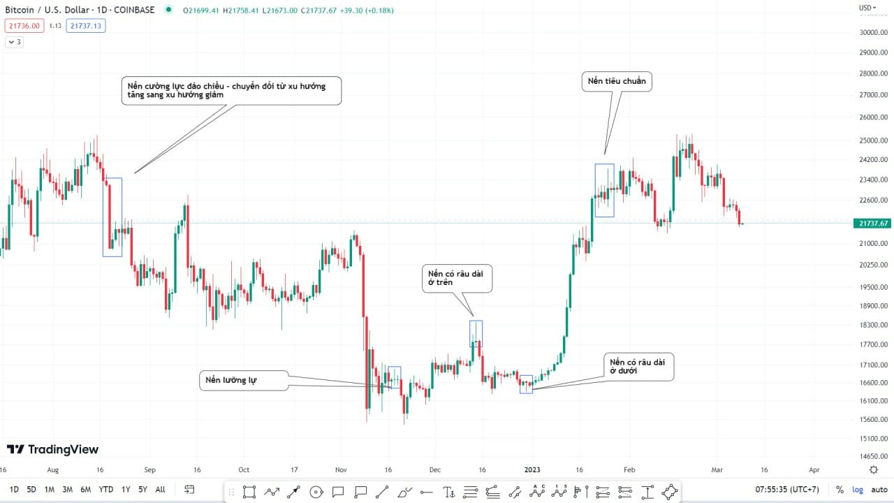 cách đọc nến nhật trading crypto