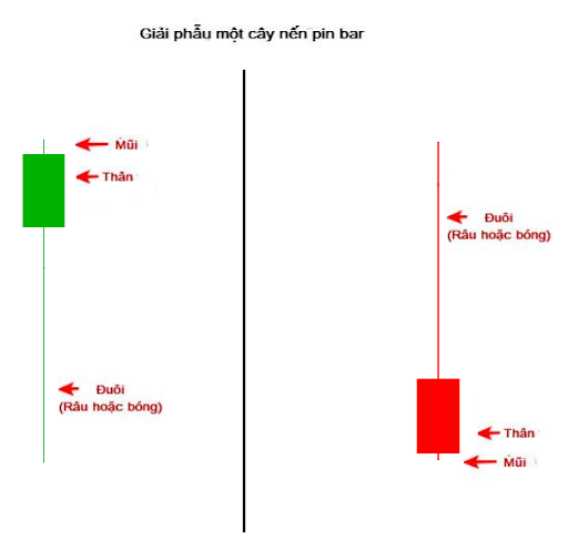 cách đọc cây nến pin bar
